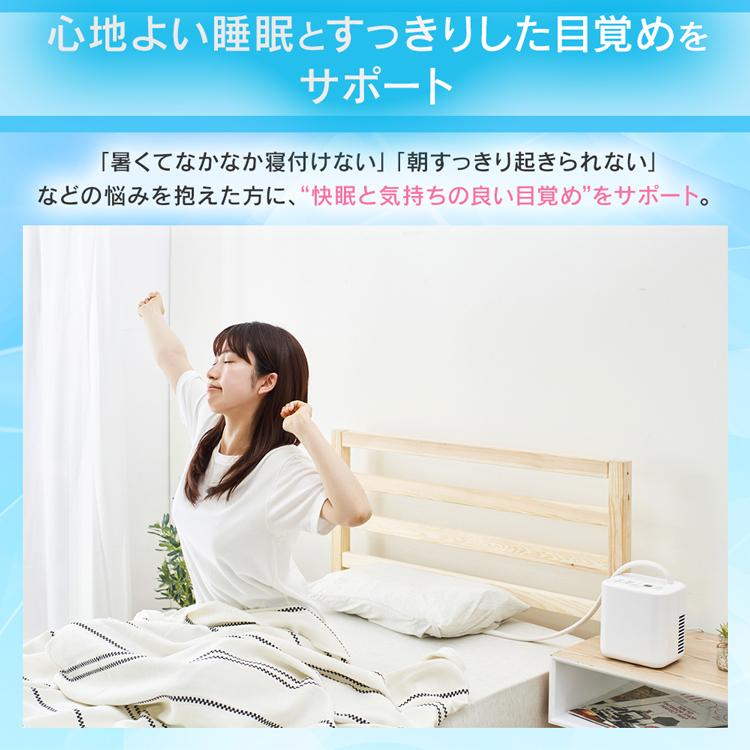 IRIS OHYAMA（アイリスオーヤマ） 枕 まくら 冷感 ひんやり 保冷枕
