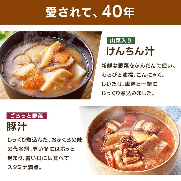 IRIS OHYAMA（アイリスオーヤマ） 非常食 3年 けんちん汁 豚汁 1号缶