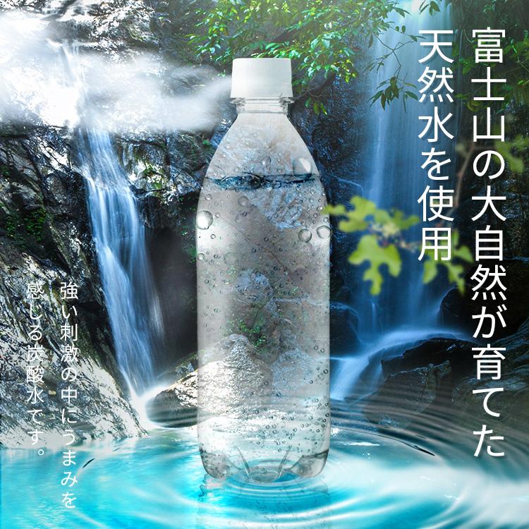 IRIS OHYAMA（アイリスオーヤマ） 炭酸水 500ml 48本 最安値 強炭酸 強