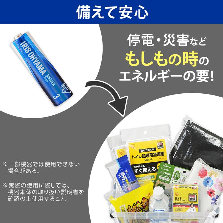 IRIS OHYAMA（アイリスオーヤマ） 乾電池 BIGCAPA basic 単3形10パック
