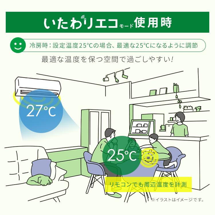 IRIS OHYAMA エアコン 6畳用 節電 電気代 省エネ いたわりエコ IRIS OHYAMA エアコン 6畳用 節電 電気代 省エネ いたわりエコ