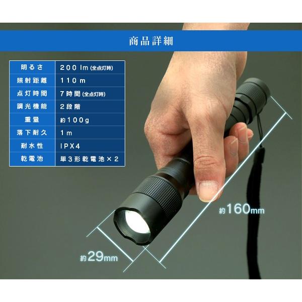 IRIS OHYAMA（アイリスオーヤマ） 懐中電灯 led 電池 作業灯 防水