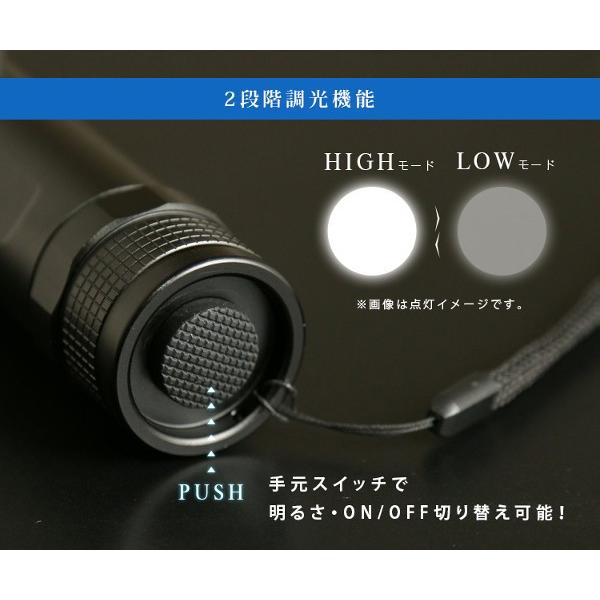 IRIS OHYAMA（アイリスオーヤマ） 懐中電灯 led ハンディライト 電池