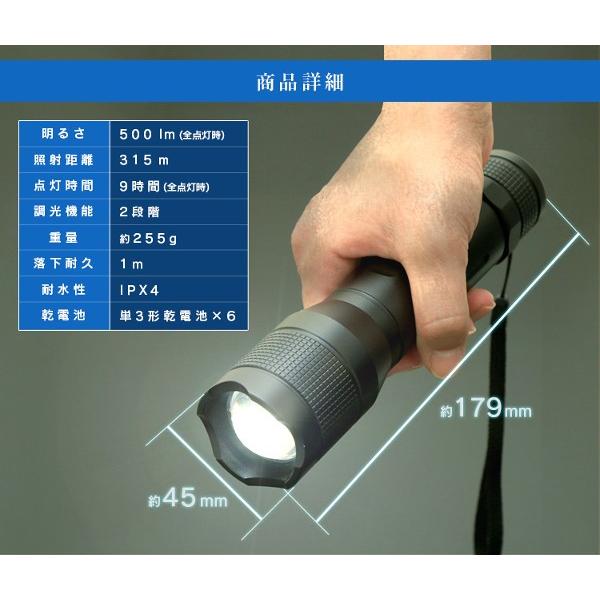 IRIS OHYAMA（アイリスオーヤマ） 懐中電灯 led ハンディライト 電池