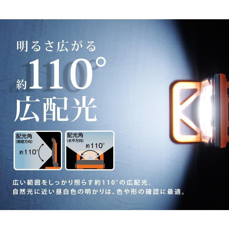 IRIS OHYAMA（アイリスオーヤマ） 投光器 作業灯 LED 防水 照明 ワーク