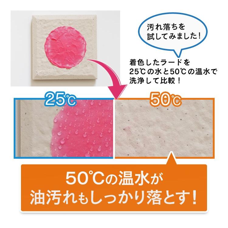 高圧洗浄機 業務用 タンク式 家庭用 アイリスオーヤマ 洗車セット ホワイト 洗車 おすすめ バケツ  SBT-512NS｜insair-y｜10