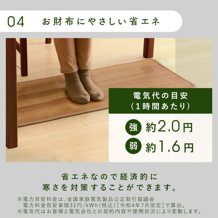 IRIS OHYAMA（アイリスオーヤマ） ホットカーペット 本体 110×45 電気