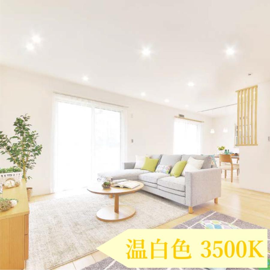 IRIS OHYAMA（アイリスオーヤマ） ダウンライト 100φ LED 100 LED照明