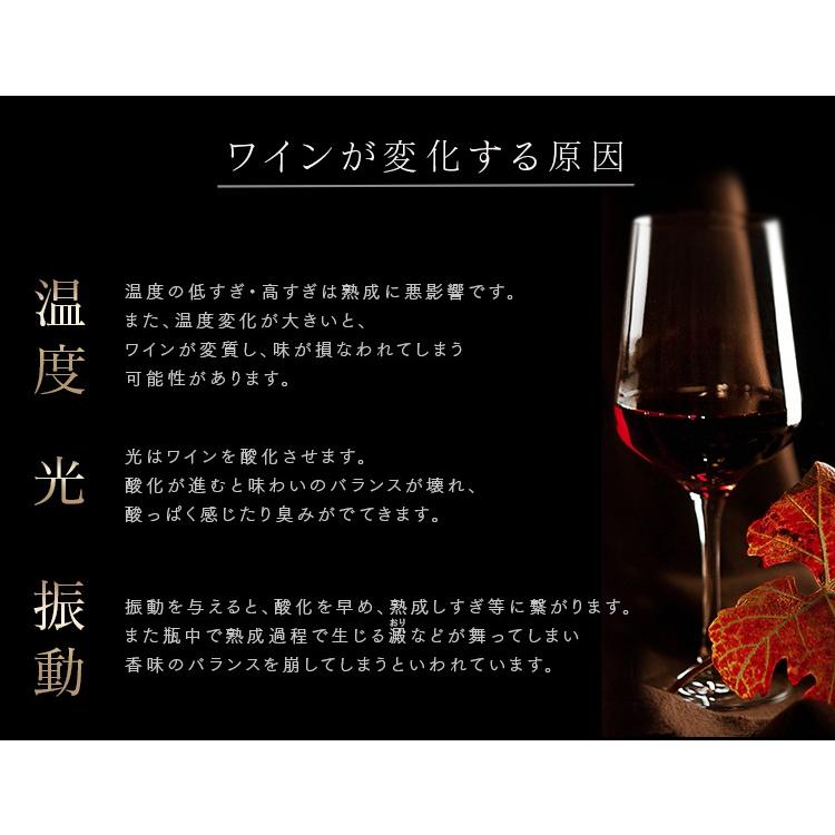 ワインセラー 2ドア 家庭用 業務用 24本 ミラーガラス 2温度設定 24本