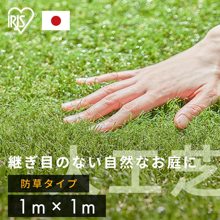 IRIS OHYAMA 人工芝 DIY 庭 ロール 幅1M マット 芝生 国産