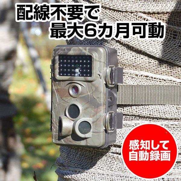 THANKO サンコー 自動録画防犯カメラ RD1006AT AUTMTSEC サンコー (D