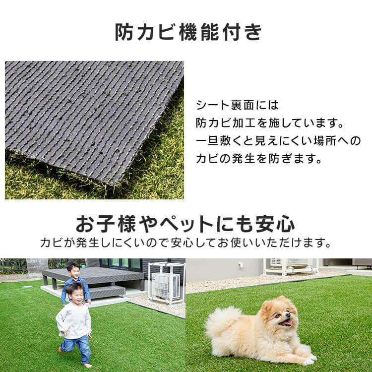 人工芝 2m×10m ロール アイリスオーヤマ 2個 芝生 耐久性 防カビ 庭 ベランダ ガーデニング DIY ペット ふかふか IP-30210 リアル人工芝 *の画像