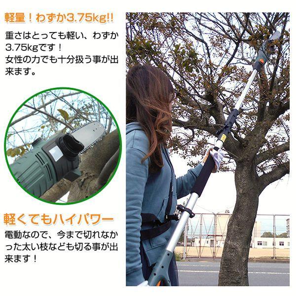 電動高枝切りチェンソー「高枝健太郎くん」 10M ET1208-10M-New (D