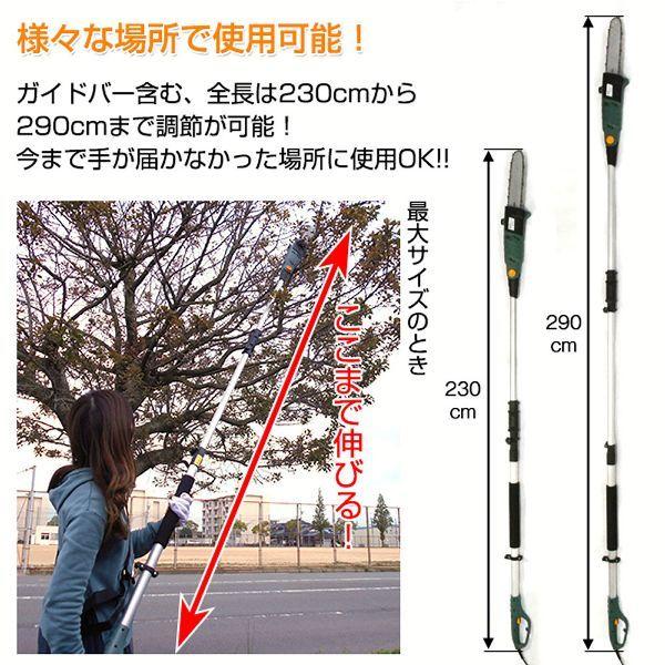 高枝切りチェーンソー「高枝健太郎くん」 Amazon | 10mコード付 電動高枝切りチェンソー 高枝健太郎くん ET1208