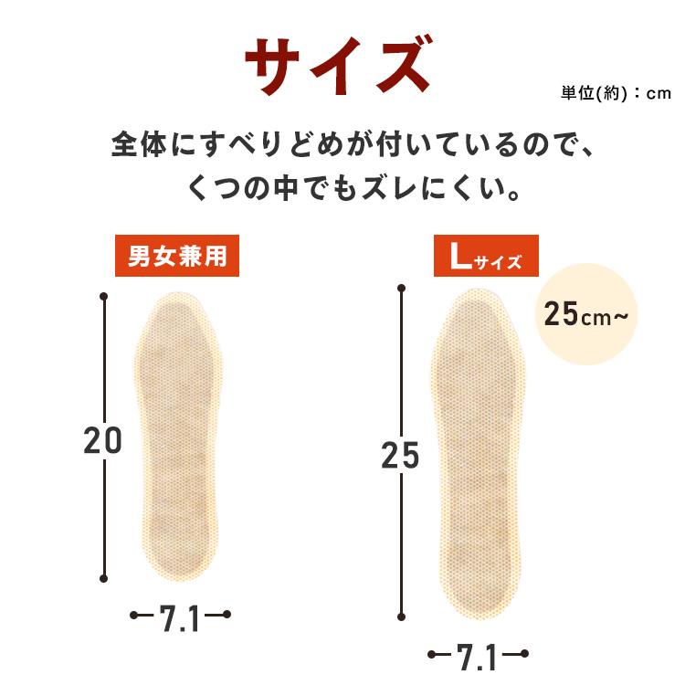 IRIS OHYAMA（アイリスオーヤマ） カイロ 中敷き用 防寒 あったか 冬