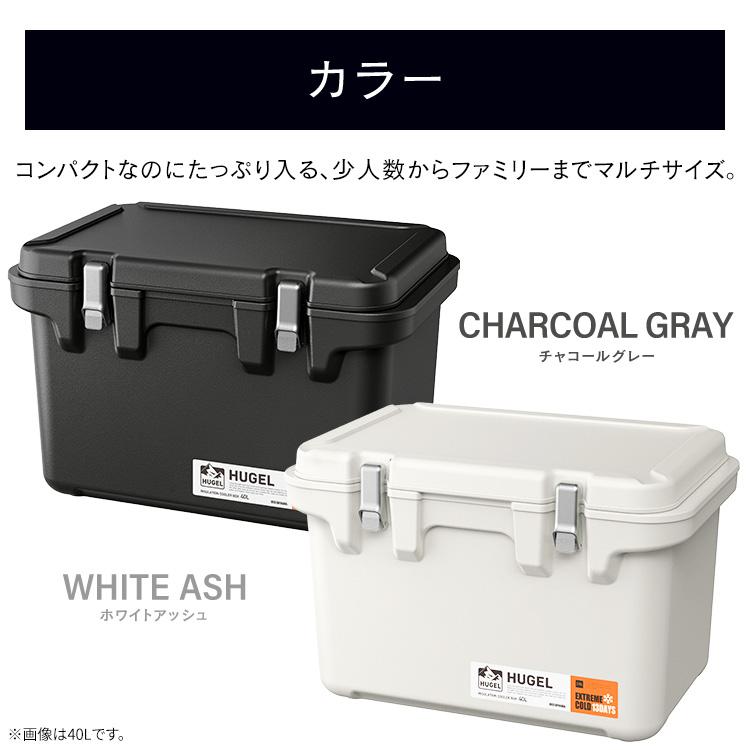 IRIS OHYAMA（アイリスオーヤマ） クーラーボックス 大型 釣り 40L