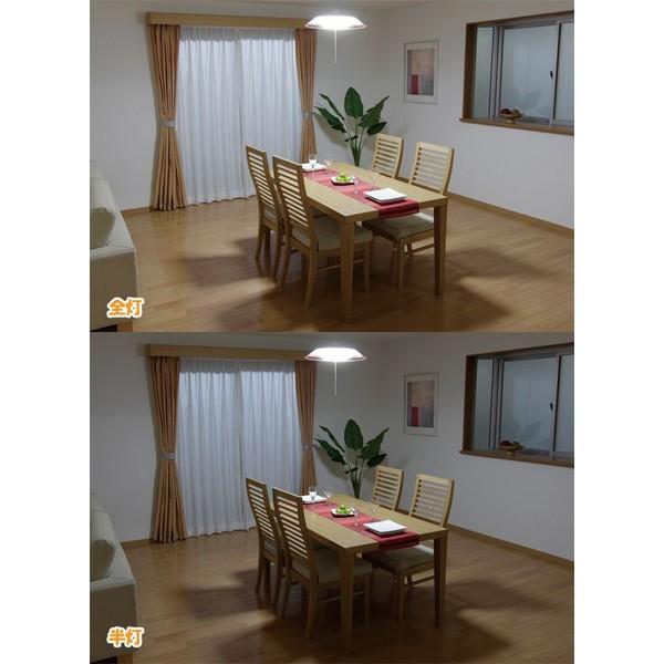 IRIS OHYAMA（アイリスオーヤマ） 洋風 LED ペンダントライト 洋室 10