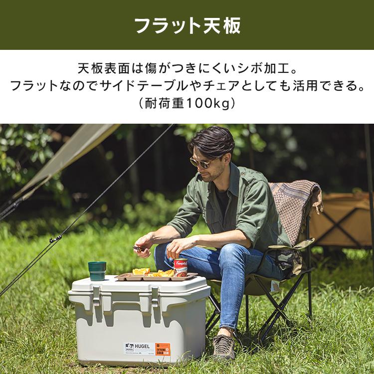 IRIS OHYAMA（アイリスオーヤマ） クーラーボックス 小型 20L 釣り