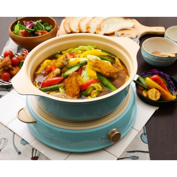 IRIS OHYAMA（アイリスオーヤマ） IHクッキングヒーター おしゃれ