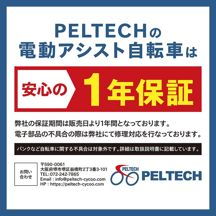 電動自転車 安い 自転車 おしゃれ PELTECH ノーパンク 20インチ 折り畳み 電動アシスト自転車 外装6段変速 (簡易組立必要品) TDN-206LNX (代引不可)(TD)｜insair-y｜02