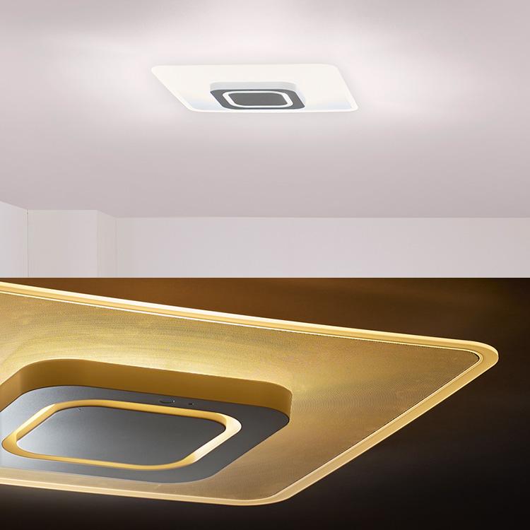 IRIS OHYAMA（アイリスオーヤマ） シーリングライト led 8畳 led照明