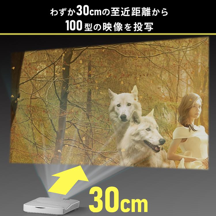 IRIS OHYAMA（アイリスオーヤマ） 超短投写プロジェクター IP-AU450W