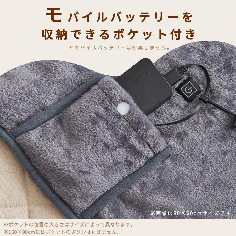 IRIS OHYAMA（アイリスオーヤマ） 電気毛布 洗える USB モバイル