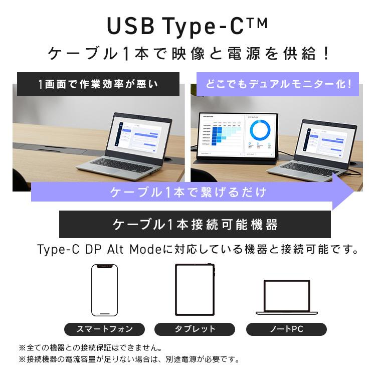 IRIS OHYAMA（アイリスオーヤマ） モバイルモニター pcモニター 18.5