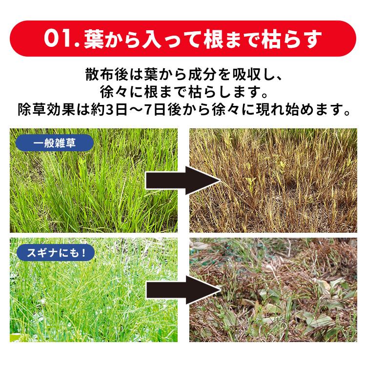 園芸養土・薬品  Storm Ultra IRIS OHYAMA（アイリスオーヤマ） 除草剤 希釈タイプ 500ml 速効 強力