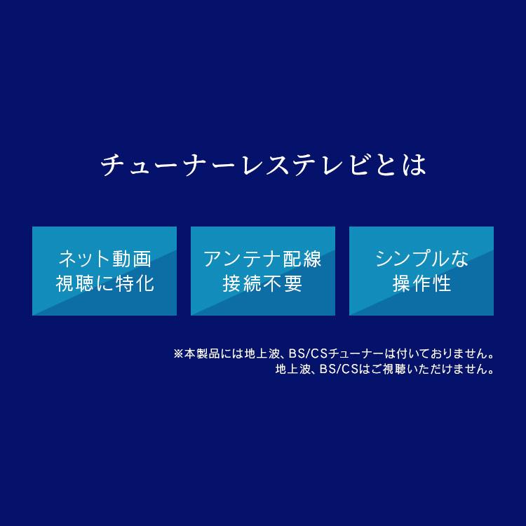 IRIS OHYAMA（アイリスオーヤマ） テレビ チューナーレステレビ 24V型