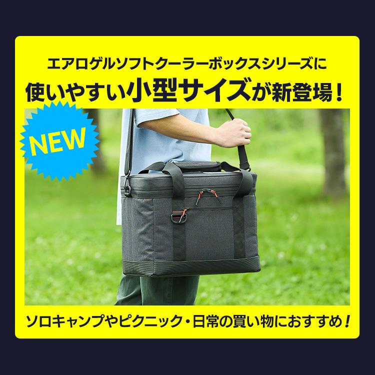 IRIS OHYAMA（アイリスオーヤマ） クーラーボックス 小型 15L 保冷