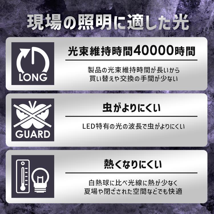 IRIS OHYAMA（アイリスオーヤマ） led投光器 110w 100v 2灯 投光器 led