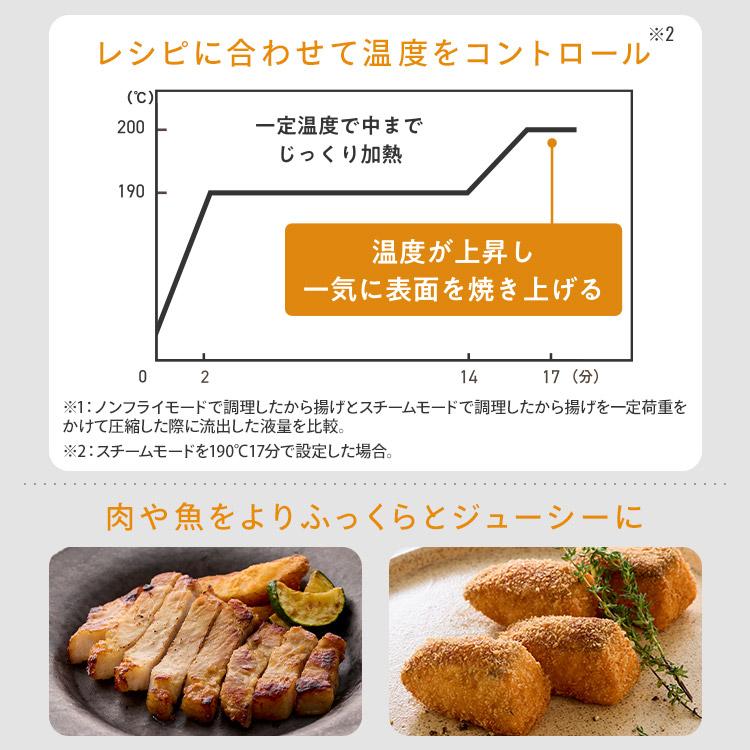 IRIS OHYAMA（アイリスオーヤマ） 電気フライヤー 3L 家庭用 スチーム