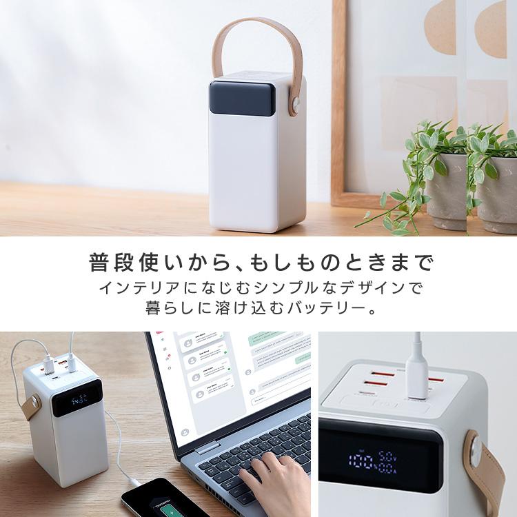 IRIS OHYAMA（アイリスオーヤマ） バッテリーステーション 60000mAh 大