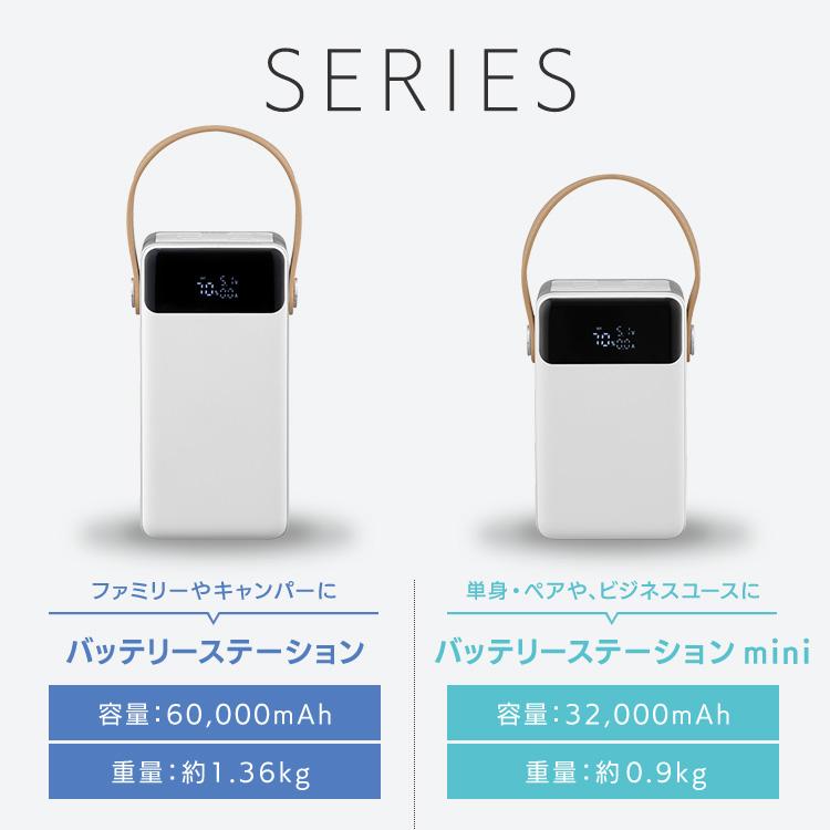 IRIS OHYAMA（アイリスオーヤマ） バッテリーステーション 60000mAh 大