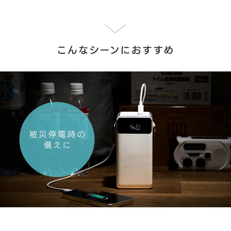 IRIS OHYAMA（アイリスオーヤマ） バッテリーステーション 60000mAh 大