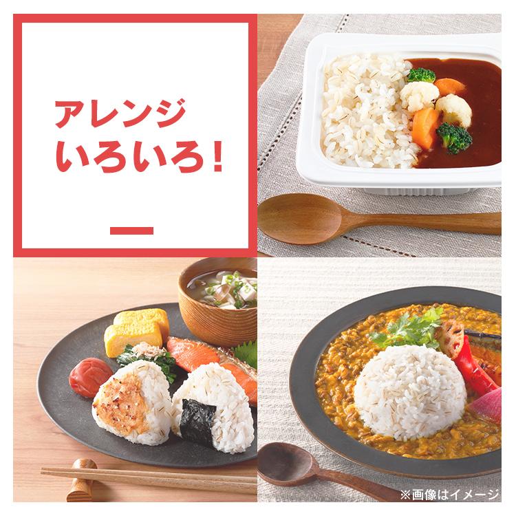 IRIS OHYAMA（アイリスオーヤマ） パックご飯 ご飯パック レトルトご飯