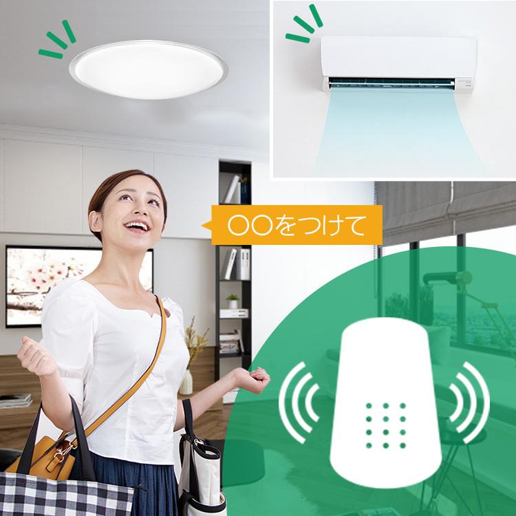 IRIS OHYAMA（アイリスオーヤマ） スマートプラグ 2個セット スマート