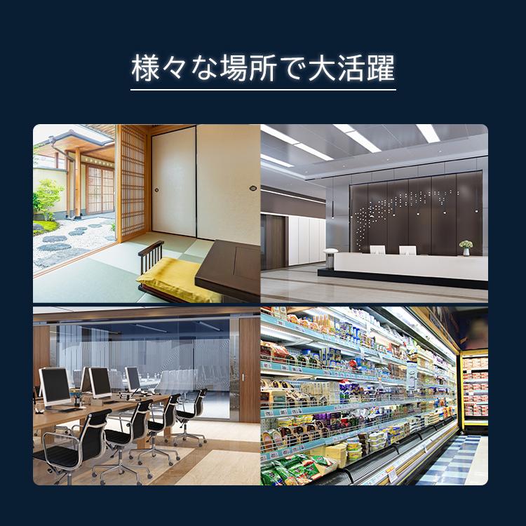 IRIS OHYAMA（アイリスオーヤマ） ラインルクストラフ型 LX3-170-25N