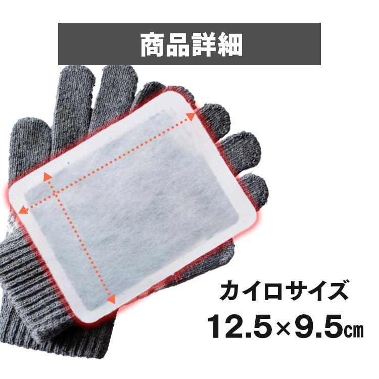 IRIS OHYAMA（アイリスオーヤマ） カイロ 貼らない 屋外専用 貼らない