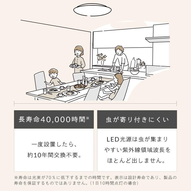 シーリングライト LED 12畳 LEDシーリングライト  アイリスオーヤマ リビング照明 5.0Qシリーズ 調光 プレーン 2個セット CEA12D-5.0Qの画像