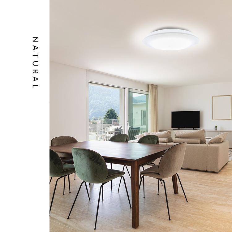 IRIS OHYAMA（アイリスオーヤマ） シーリングライト LED 6畳 LED