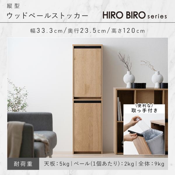 IRIS OHYAMA（アイリスオーヤマ） 新生活 家具 2点セット 一人暮らし 