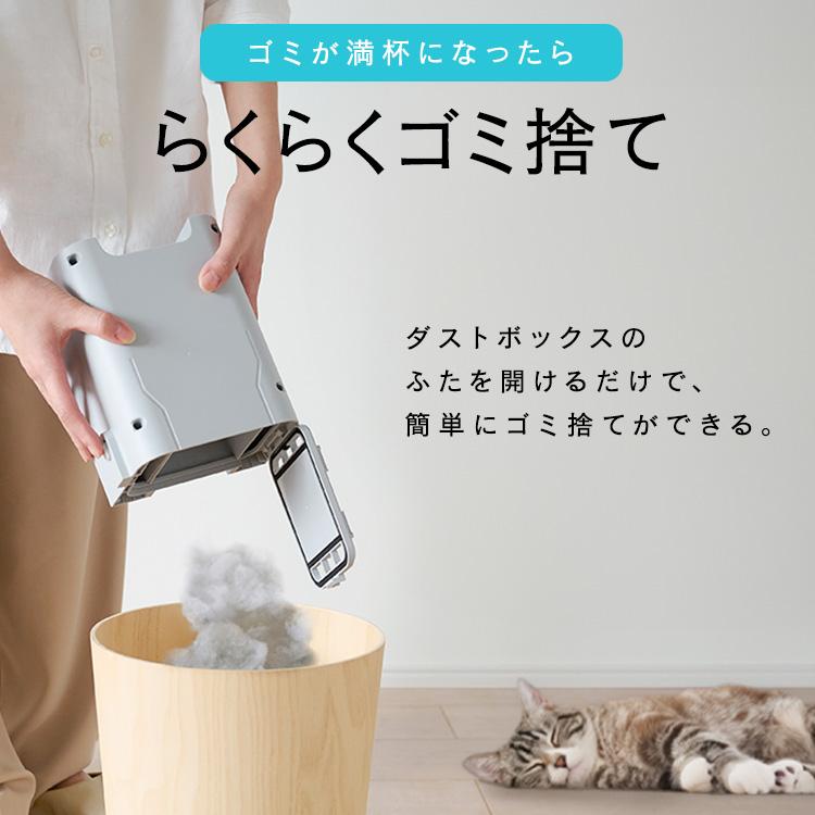 IRIS OHYAMA（アイリスオーヤマ） 掃除機 コードレス 軽量 ゴミ収集