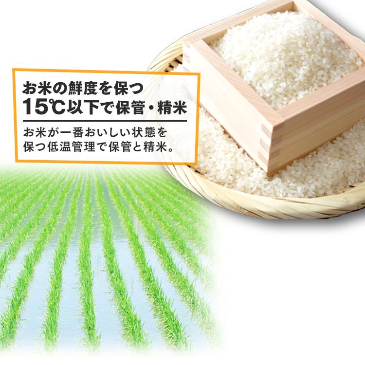 IRIS OHYAMA（アイリスオーヤマ） パックご飯 150g 80食 レトルトご飯