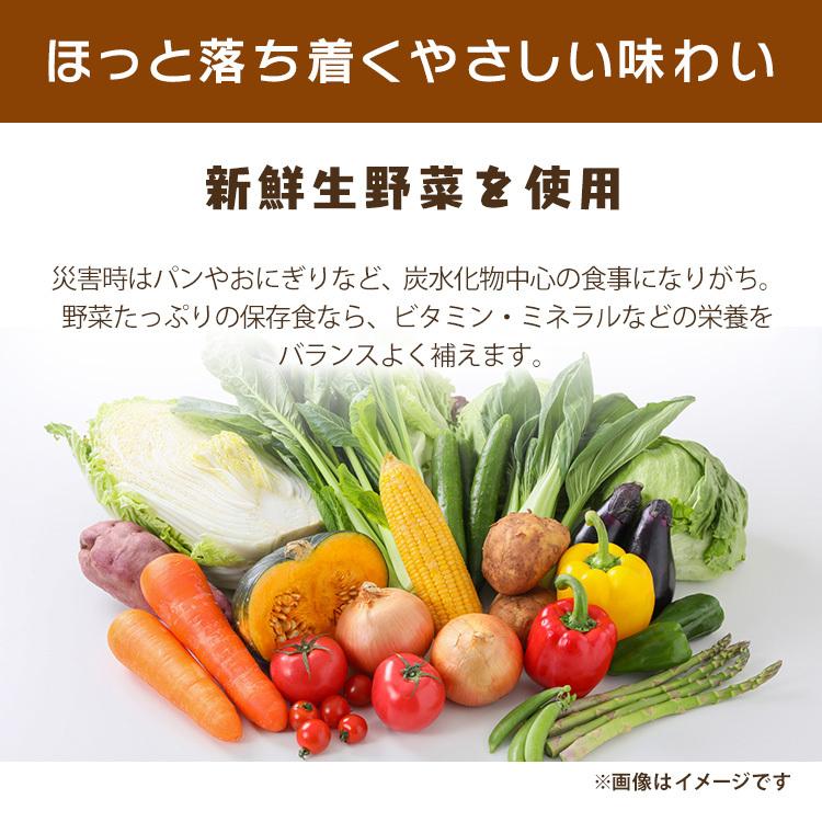 IRIS OHYAMA 災対食パウチ豚汁 250g アイリスフーズ アイリス IRIS OHYAMA 災対食パウチ豚汁 250g アイリスフーズ アイリス