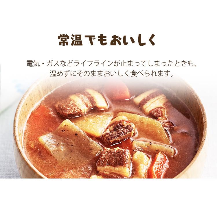 IRIS OHYAMA 災対食パウチ豚汁 250g アイリスフーズ アイリス IRIS OHYAMA 災対食パウチ豚汁 250g アイリスフーズ アイリス