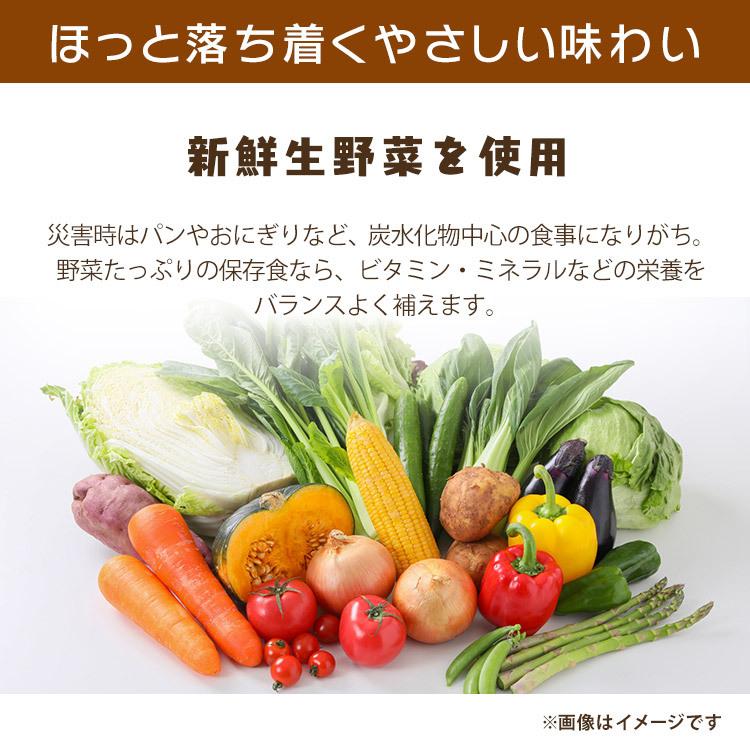 災対食パウチ肉じゃが 220g  アイリスフーズ アイリスオーヤマ｜insdenki-y｜02