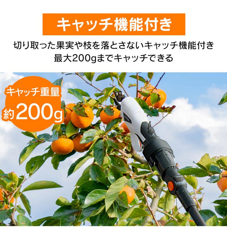 IRIS OHYAMA（アイリスオーヤマ） 剪定ばさみ 電動 充電式 高枝切鋏