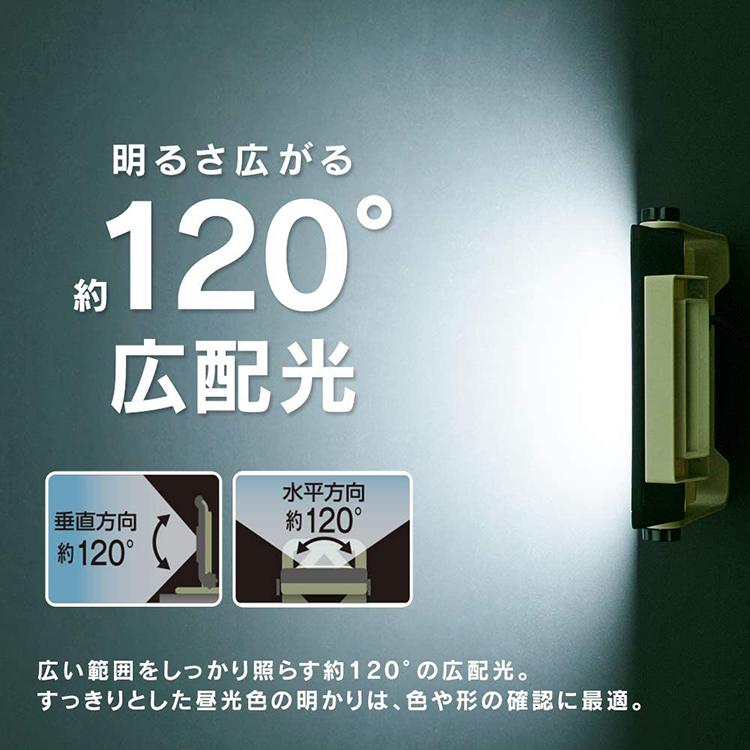 IRIS OHYAMA（アイリスオーヤマ） 投光器 LED 作業灯 屋外 屋内 防水